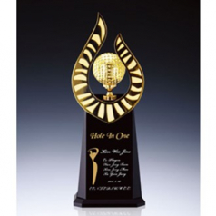 금속 트로피 TB-805