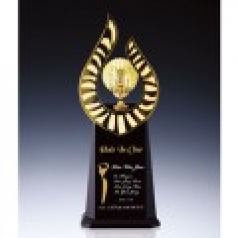 금속 트로피 TB-805