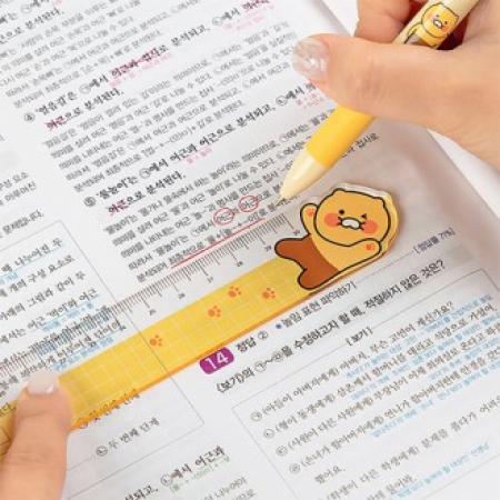 캐릭터 30cm 자 #2