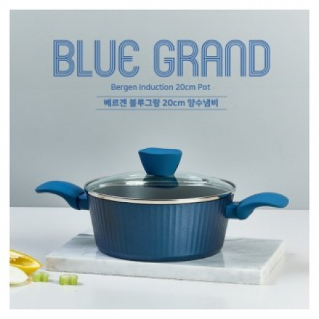 베르겐 블루 그랑 팟 인덕션 양수20CM #2