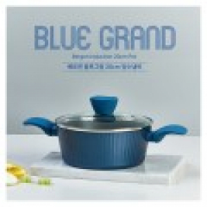 베르겐 블루 그랑 팟 인덕션 양수20CM