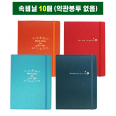 으뜸 증권 보험 화일 10장 밴드 봉투x