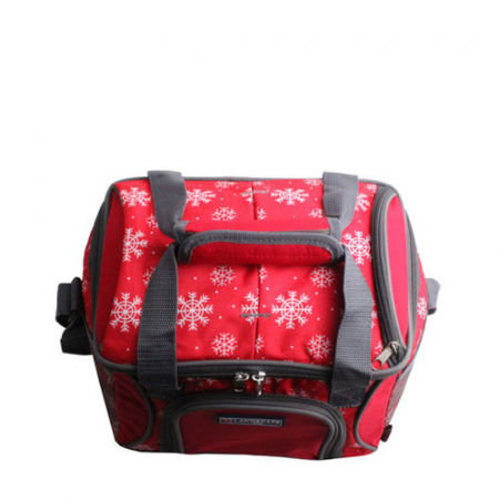 아이스 쿨러백C 10L #5