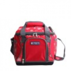 아이스 쿨러백C 10L