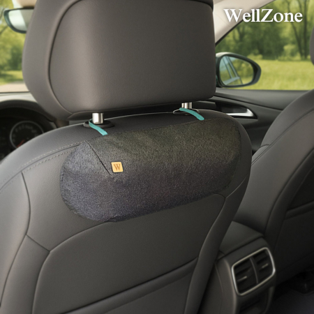 웰존 차량용 탈취제 500g #3