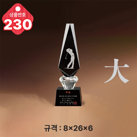 크리스탈 트로피 230 #2