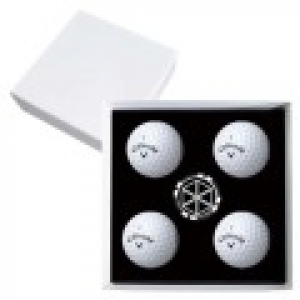 캘러웨이 워버드 4구 볼마커칩 고급 싸바리케이스