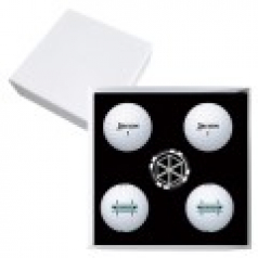 스릭슨 트라이스타 4구 볼마커칩 고급 싸바리케이스