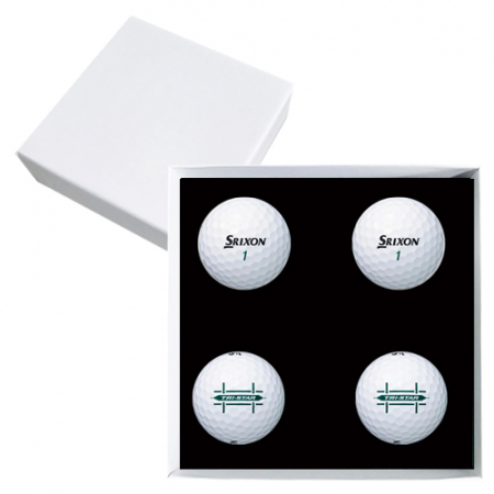 스릭슨 트라이스타 4구 고급 싸바리케이스 #3