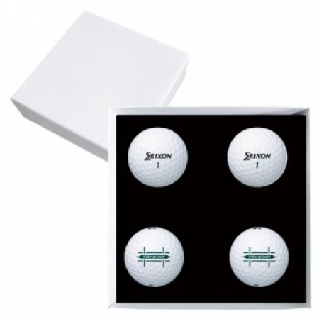 스릭슨 트라이스타 4구 고급 싸바리케이스 #2