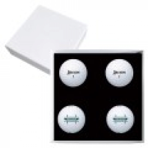 스릭슨 트라이스타 4구 고급 싸바리케이스