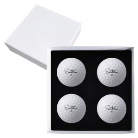 세인트나인 N PRO 4구 고급 싸바리케이스 #2