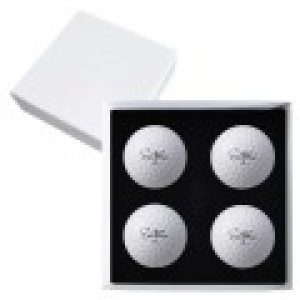 세인트나인 N PRO 4구 고급 싸바리케이스