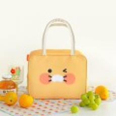 춘식이 보냉백