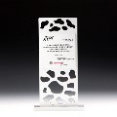 공로 금속 퇴직 퇴임 감사 재직기념패 E5085