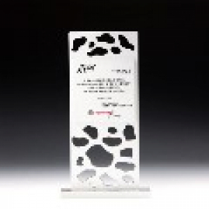 공로 금속 퇴직 퇴임 감사 재직기념패 E5085