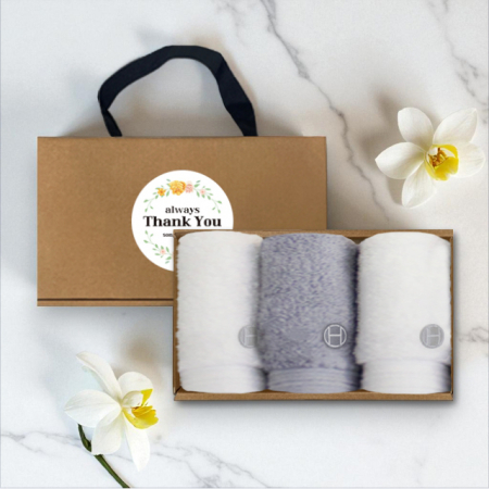 송월타올 H.C 클래식 핸드타올 핸들패키지 3매입 세트 #3