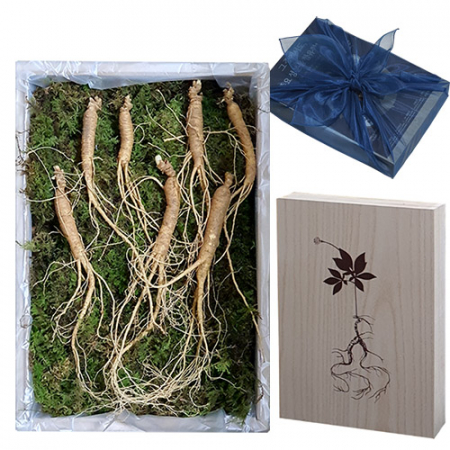 효천 산양삼 장뇌삼 7년근 7뿌리 선물세트 #3