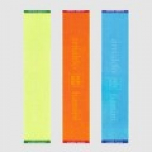 송월 아놀드바시니 다이나믹(ab dm)스포츠20