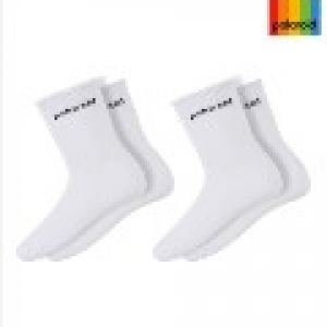 폴라로이드 남성 중목 양말 2p
