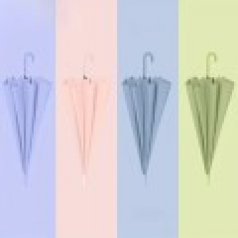 229 모던 프로스티드 롱 핸들 8리브 우산