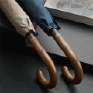 220 파라체이스 프리미엄 우드 롱우산