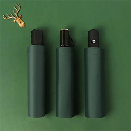 210 세련된 UV 보호 자동 접이식 우산 #2