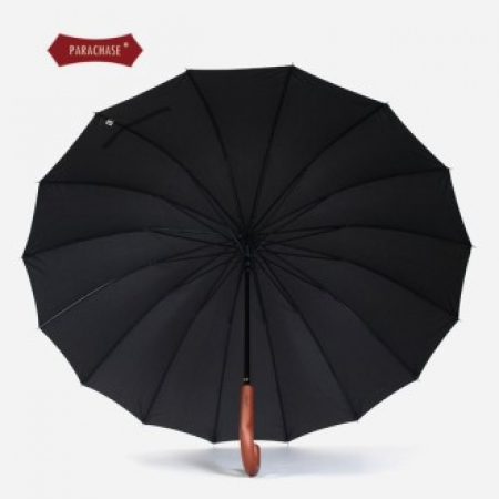 파라체이스 프리미엄 대형 자동 장우산 #2