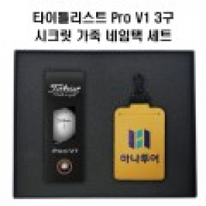 타이틀리스트 Pro V1골프공+정보보호 시크릿 가죽 골프 네임택