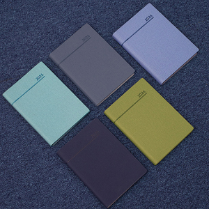 AP3 스프링 다이어리 25절  모스그린