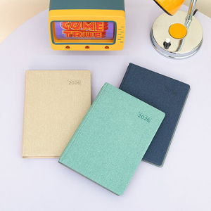 AP2 스프링 다이어리 25절  민트