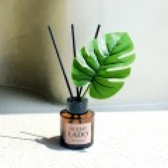 센트라도 디퓨저 몬스테라 50ml