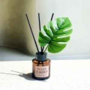 센트라도 디퓨저 몬스테라 50ml