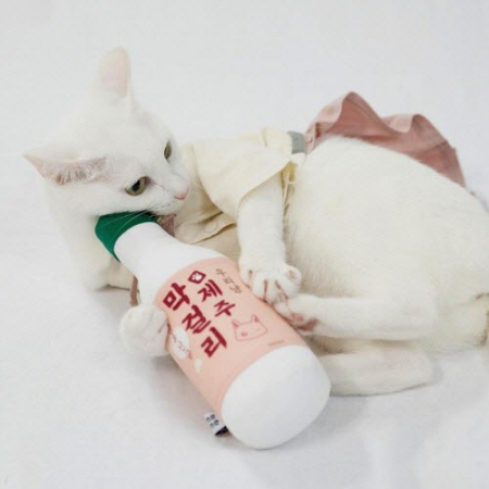 KC232 에코새활용 애묘용품 전통주 장난감 #3