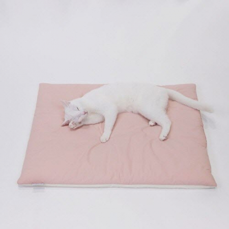 KC235 에코새활용 반려용품 60수 면 이불 #3