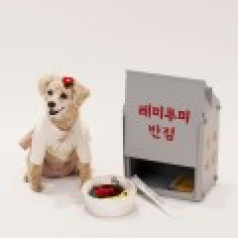 KC237 에코새활용 반려용품 중국집 장난감