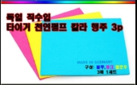 독일행주  3P #3