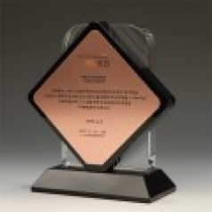 송공 감사 우수사원 상패 E1083