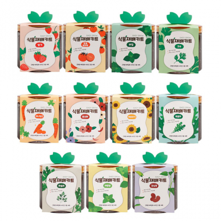 식물재배키트 미니 화분 씨앗 키우기 어린이집 유치원 초등 #3