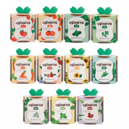 식물재배키트 미니 화분 씨앗 키우기 어린이집 유치원 초등 #2