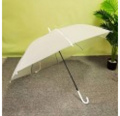 648 반투명 자동 우산 10개