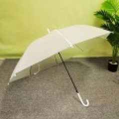 648 반투명 자동 우산 10개