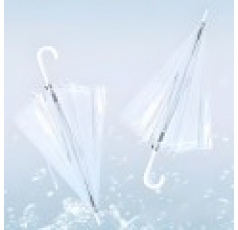 647 투명 자동 우산 10개