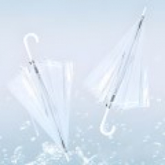 647 투명 자동 우산 10개