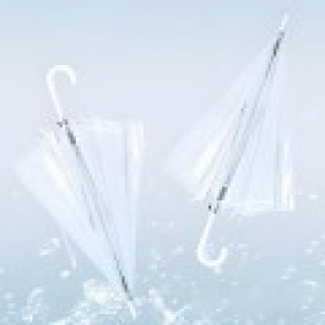 647 투명 자동 우산 10개