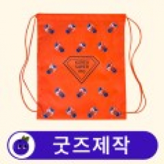 커스텀 슈즈백 스트링백 스포츠가방 보조가방 // 굿즈제작