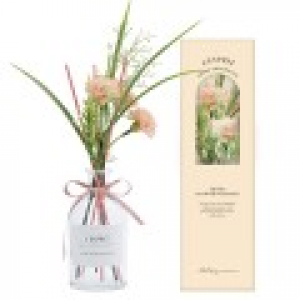 레스쁘리 프리미엄 카네이션 B 디퓨저 200ml