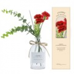 레스쁘리 프리미엄 카네이션 A 디퓨저 200ml