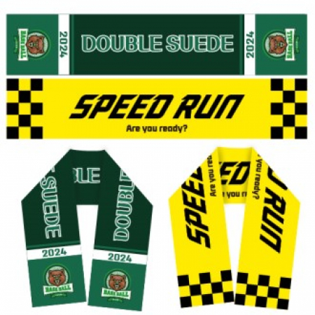 더블스웨이드 응원 슬로건 20100 #2