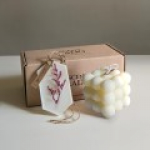 센트라도 미니 오브제 캔들+고체방향제 왁스타블렛 세트